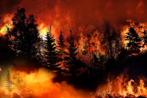 How Can AI Help Prevent WildFires Due To Climatic Change?