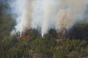 Wildfire_burns-northern_Manitoba_Flin_Flon-May_2024-The_Canadian_Press_David_Lipnowski-CP171337271-1920x1280-1-1536x1024