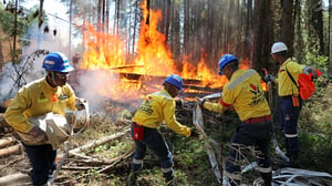 Alberta wildfire South Africa firefighters Microsoft News