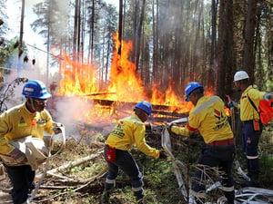 Firefighters battling an Alberta wildfire